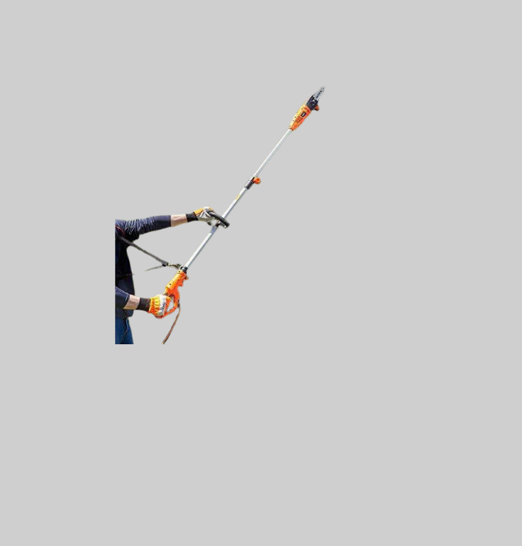 Tree Trimmer